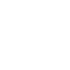Avião Icon